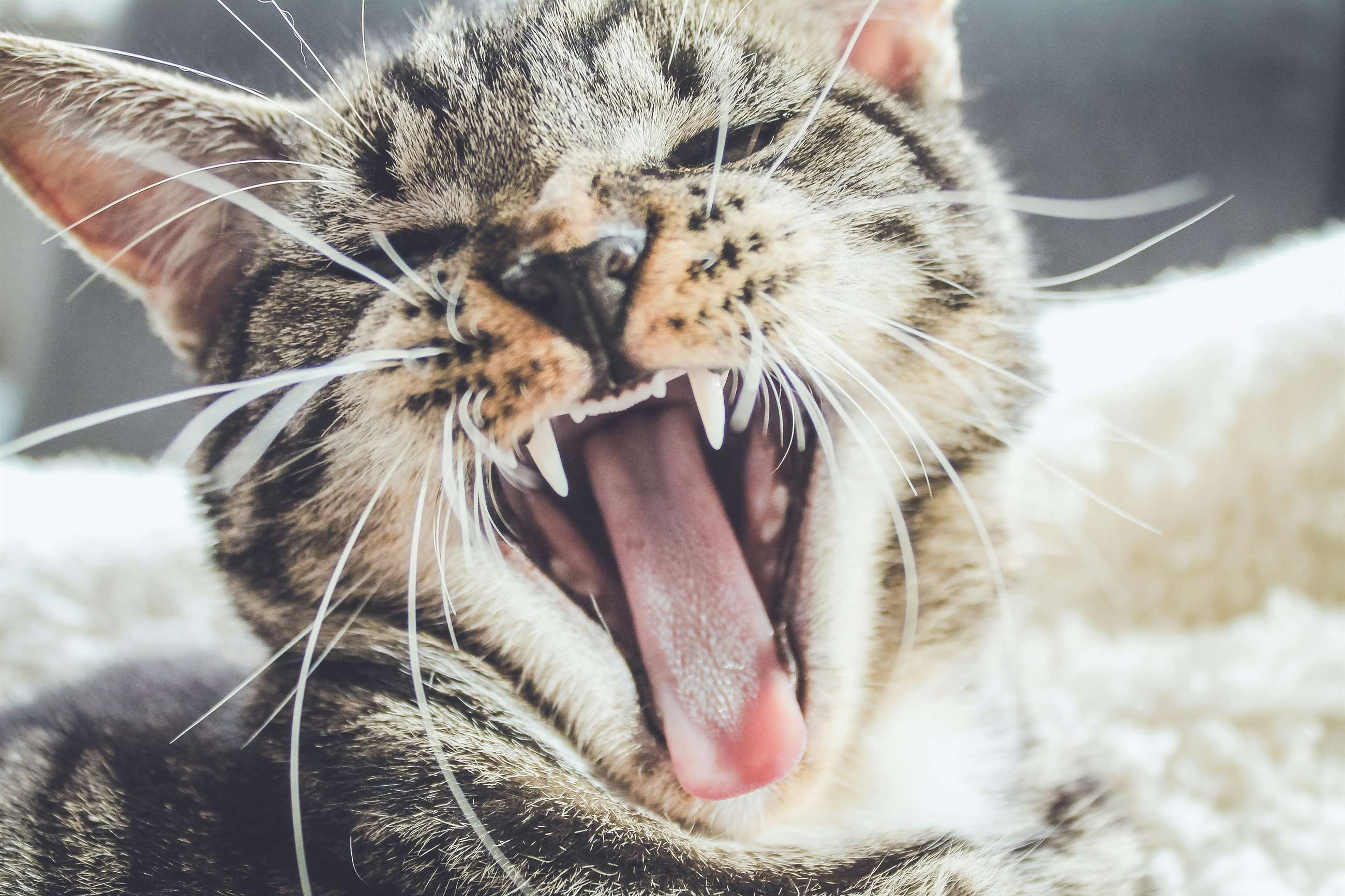 erik-jan-leusink-hrmd7mngibe-unsplash